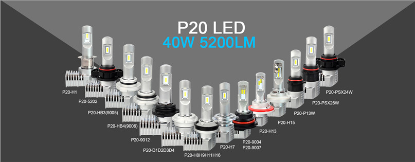 P20